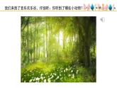 人音版小學(xué)音樂 一上第3課《快樂的小熊貓》課件