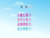 人音版小學(xué)音樂 一上第4課《詠鵝》課件