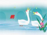 人音版小學(xué)音樂 一上第4課《詠鵝》課件