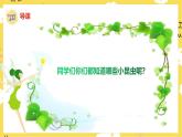 人音版小學(xué)音樂(lè) 一上第6課《小蜻蜓》課件
