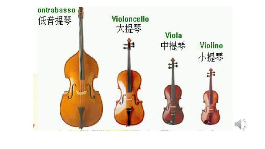 人音版小学音乐 一上第6课《野蜂飞舞》课件第7页