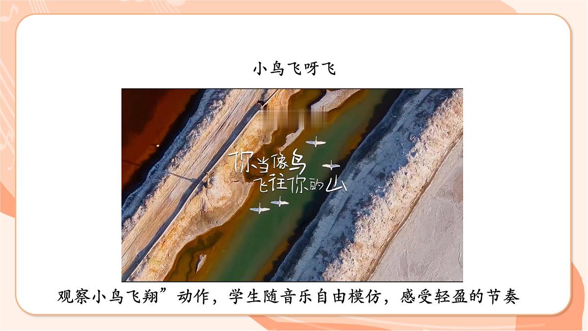 【新课标】西南大学版一年级下册第六单元第一课时《百鸟飞翔》第4页