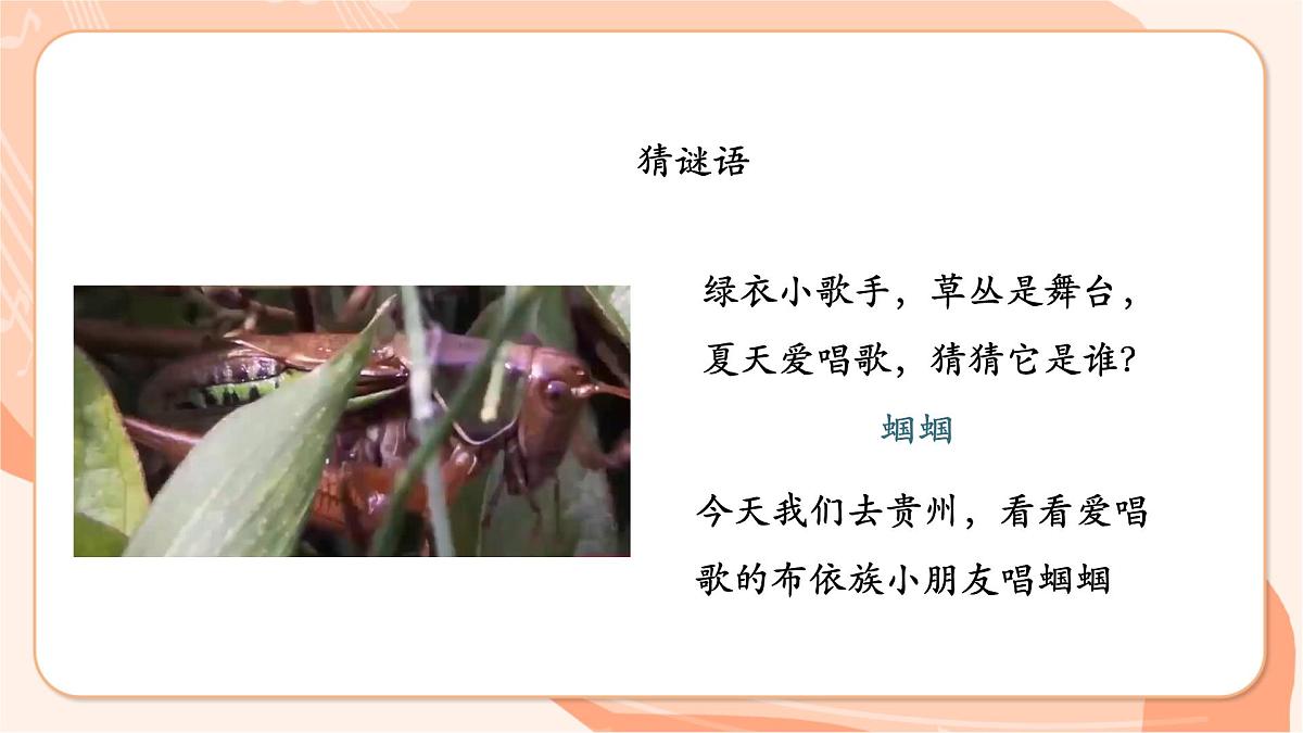 【新课标】西南大学版一年级下册第六单元第二课时《蝈蝈》第4页