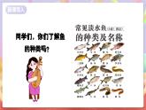 花城版音樂四年級上冊第6課《小小鯉魚粉紅鰓》課件+教案+素材