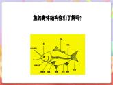 花城版音樂四年級上冊第6課《小小鯉魚粉紅鰓》課件+教案+素材
