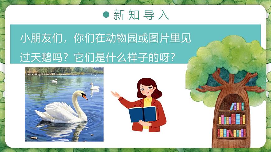 人音版二年级上册音乐第四节《四小天鹅舞曲》课件第6页