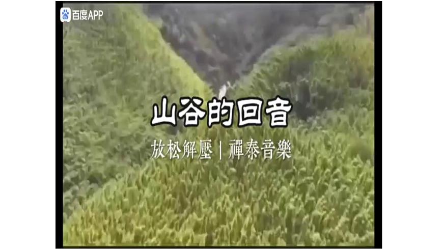 人教版一年级上册音乐第一节 音乐故事会《凤鸣山谷的故事》课件第4页