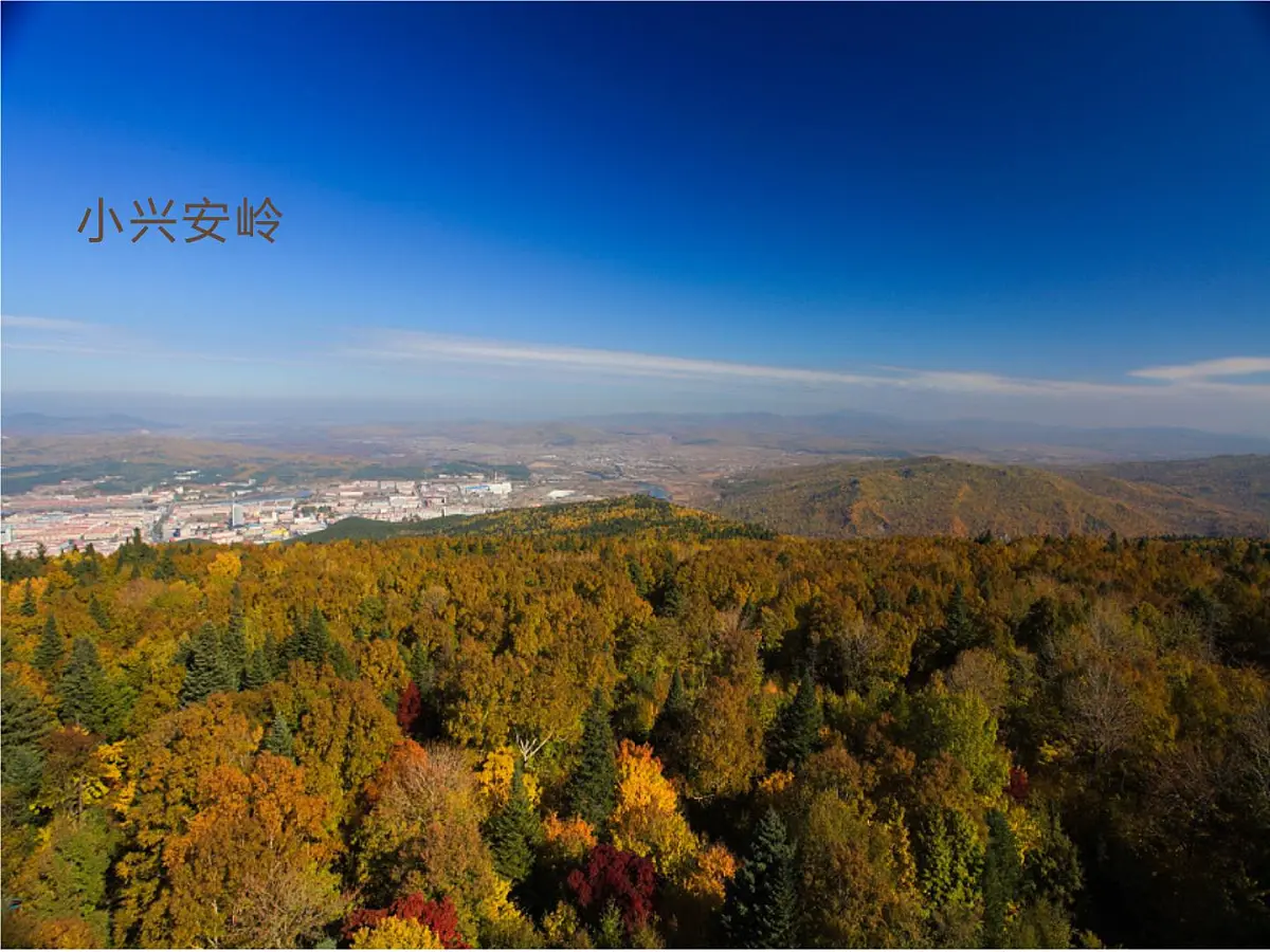 人音版（2024）三年级上册第二单元《哈腰挂》课件第4页
