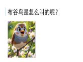 花城版音樂1上第5單元《布谷叫，春天到》教案課件PPT