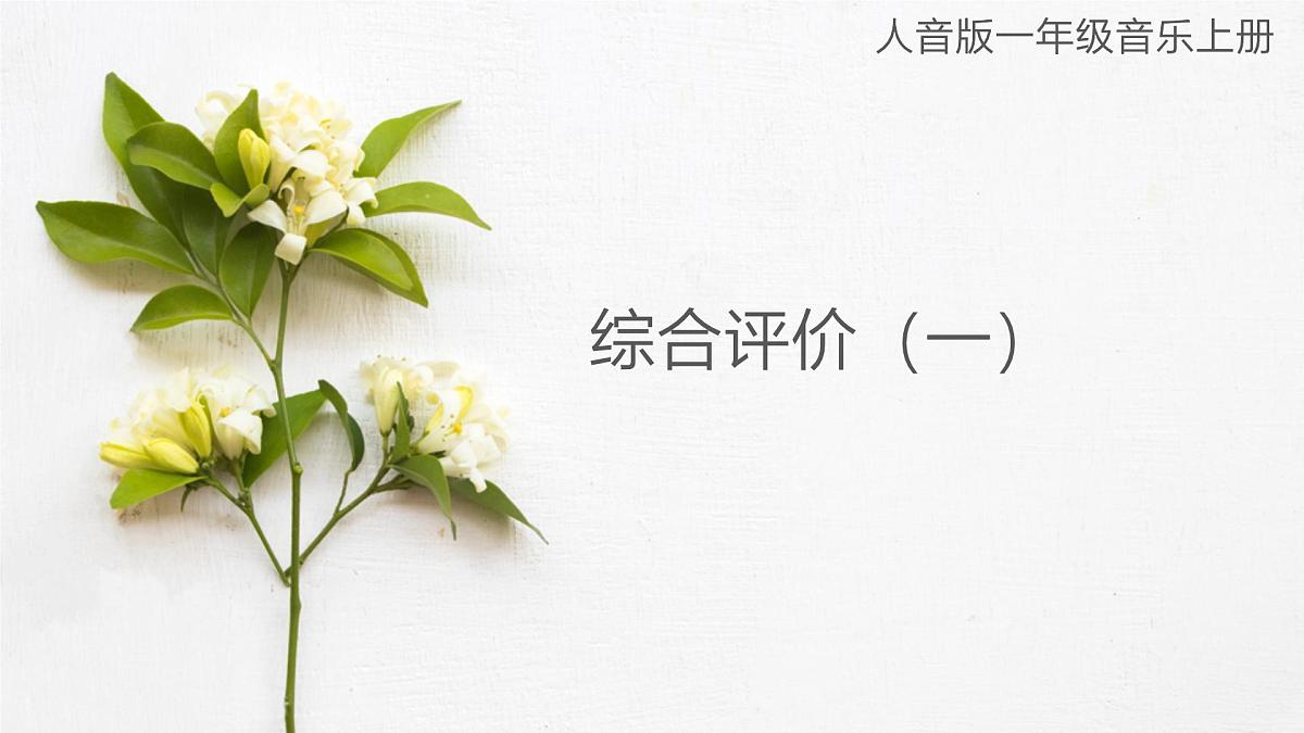 人音版（2024）一年级上册音乐：综合评价（一）课件第1页