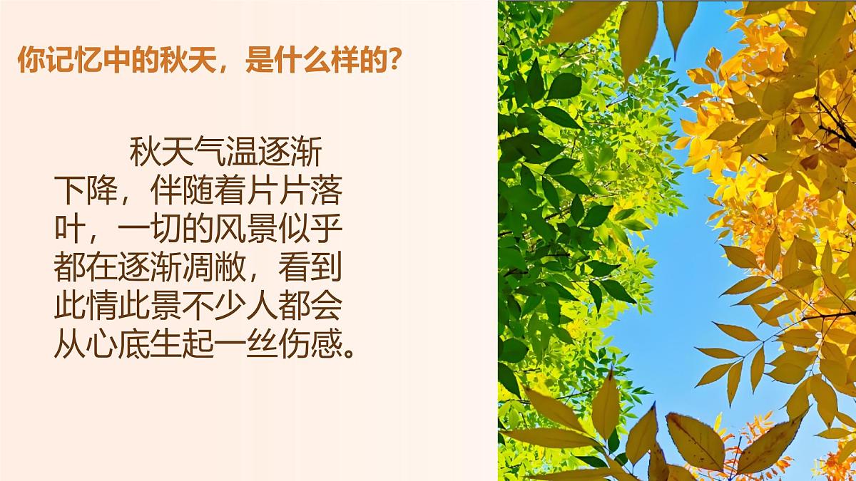 人音版（2024）三年级上册第六单元《西风的话》课件第3页
