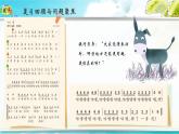 花城版（2024）小学音乐二年级上册艺术实践《小毛驴（二）》教案+课件+素材