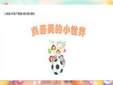 五年級(jí)下冊(cè)第3單元第2課時(shí)《真善美的小世界》課件+教案+素材 人音版