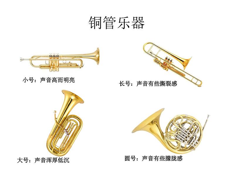 人音版小学音乐四年级下册 那不勒斯舞曲 课件第2页