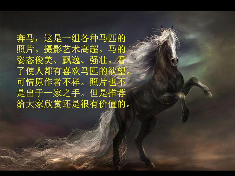 3《奔马图》PPT课件+教案+视频文字素材02