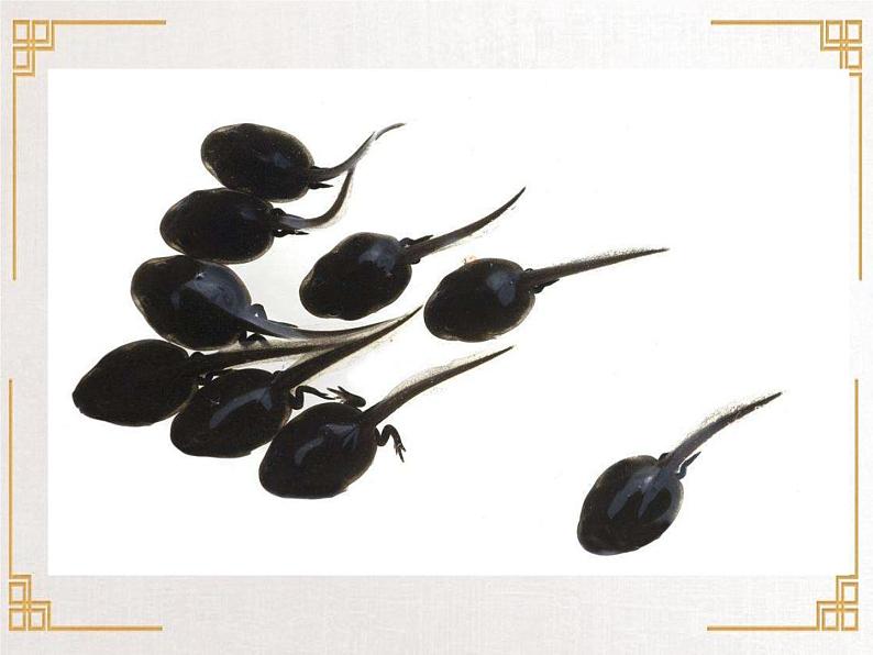 四年级上册美术课件-第10课. 中国画-学画青蛙 ▏人美版（北京）第7页