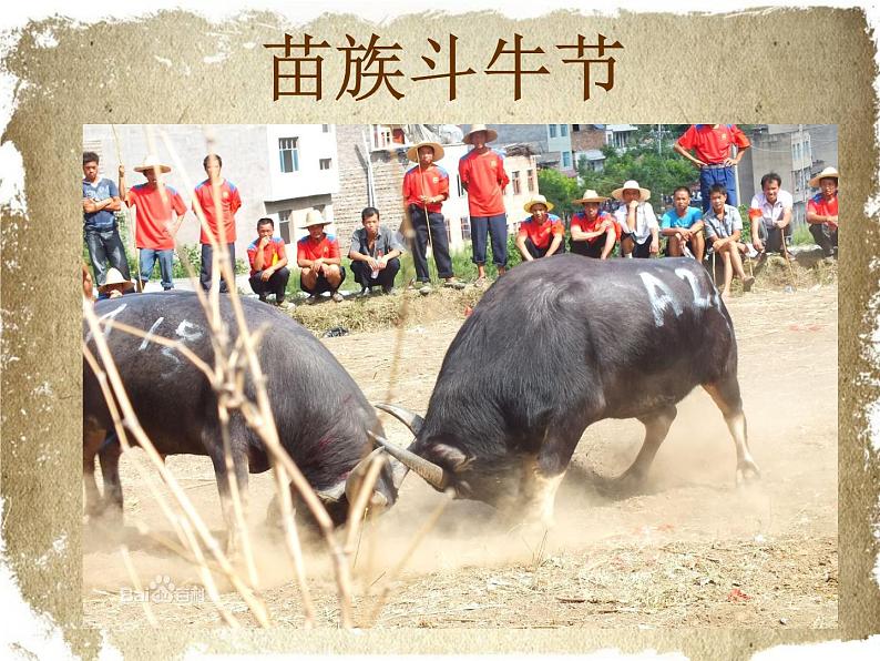 桂美版二年级下册美术《斗牛赛马真热闹》课件+教案+素材02