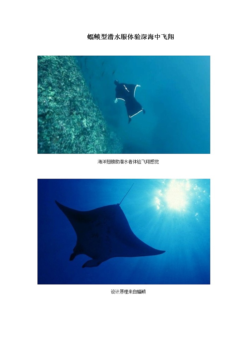 蝠鲼型潜水服体验深海中飞翔第1页