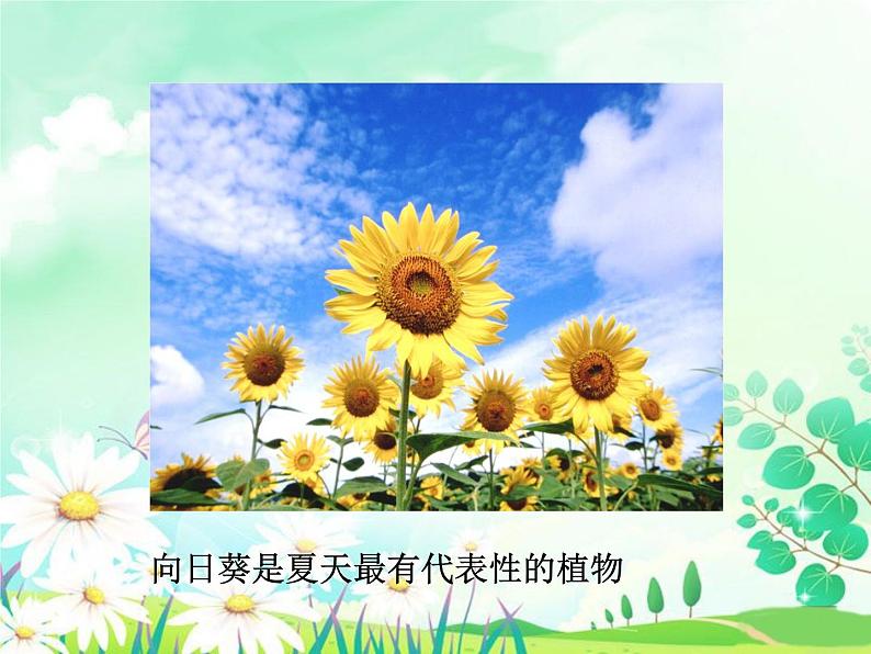 可爱的夏天第4页