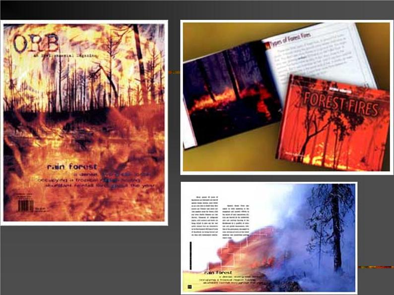 桂美版五年级下册美术《为书籍添彩》课件+教案+素材02