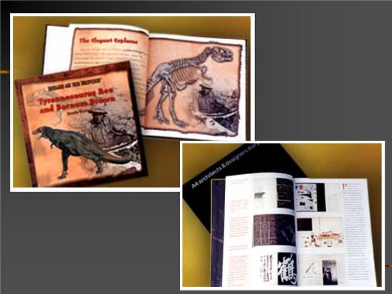 桂美版五年级下册美术《为书籍添彩》课件+教案+素材03