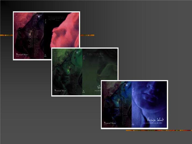 桂美版五年级下册美术《为书籍添彩》课件+教案+素材04