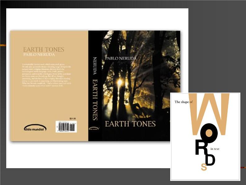 桂美版五年级下册美术《为书籍添彩》课件+教案+素材07