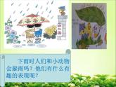 桂美版三年级下册美术《风雨中》课件+教案+素材