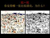 桂美版三年级下册美术《树林里》课件+教案+素材