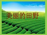 桂美版三年级下册美术《美丽的田野》课件+教案+素材