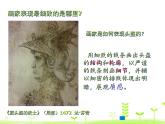 五年级上册美术课件-3.  细致的描绘 人美版（北京）
