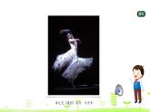 五年级上册美术课件-9.展现瞬间之美  人美版（北京）