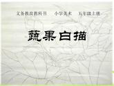 五年级上册美术课件-17. 蔬果白描 人美版（北京）