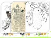 五年级上册美术课件-17. 蔬果白描 人美版（北京）