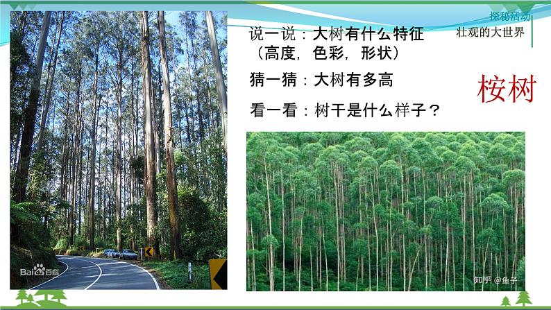 [岭南版] 小学美术一年级上册同步 第2课 壮观的大世界 （课件+教案+素材）08