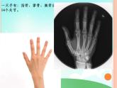 一年级上册美术课件 第九课 我的手 人美版（北京）