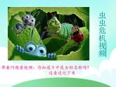 一年级上册美术课件 第十一课 昆虫的一家 人美版（北京）