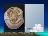 四年級(jí)美術(shù)下冊(cè)課件-10地心游記（9）-冀美版