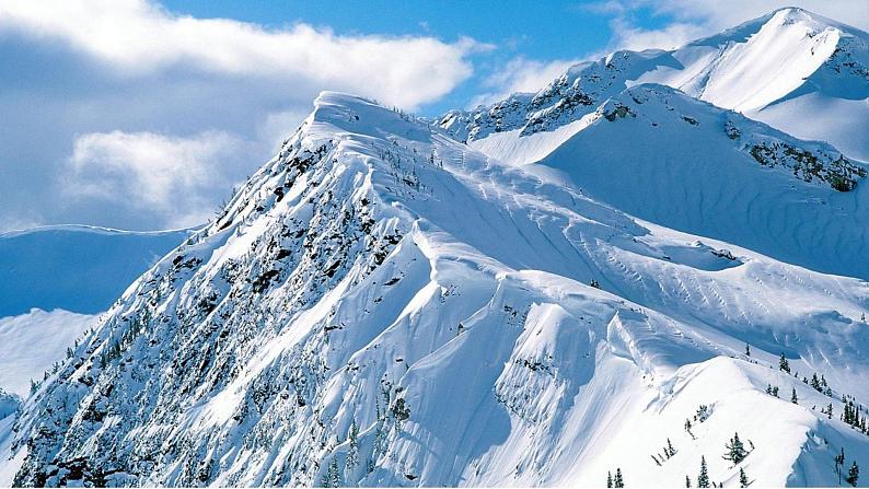 四年级美术下册课件-2色彩的冷暖（37）-冀美版第7页