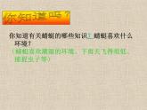 人教小學(xué)美術(shù)二上《第9課蜻蜓飛飛》PPT課件 (3)