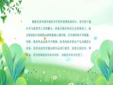 三年上册美术 第十二课 想象与创造 辽海版课件PPT