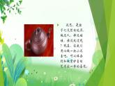 三年上册美术 第十七课 学做紫砂壶 辽海版课件PPT