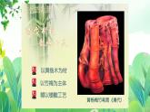 三年上册美术 第十八课 设计笔筒 辽海版课件PPT