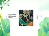 五年上册美术 第四课 拼贴与绘画结合 辽海版课件PPT