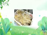 五年上册美术 第十三课 巧用材料 辽海版课件PPT