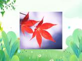 五年上册美术 第八课 枫叶红似火 辽海版课件PPT