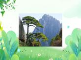 五年上册美术 第七课 高大的松树 辽海版课件PPT