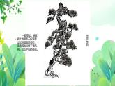 五年上册美术 第七课 高大的松树 辽海版课件PPT