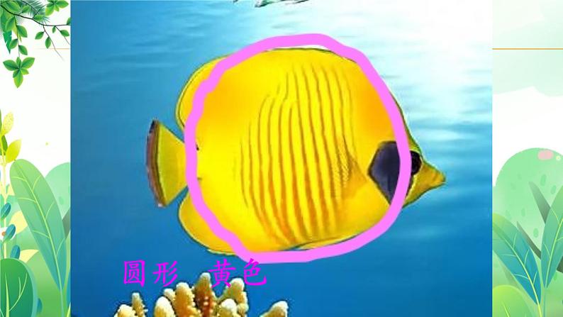 五年上册美术 第十九课 海底世界 辽海版课件PPT第8页