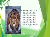 四年上册美术 第二十课 彩狮呈祥 辽海版课件PPT